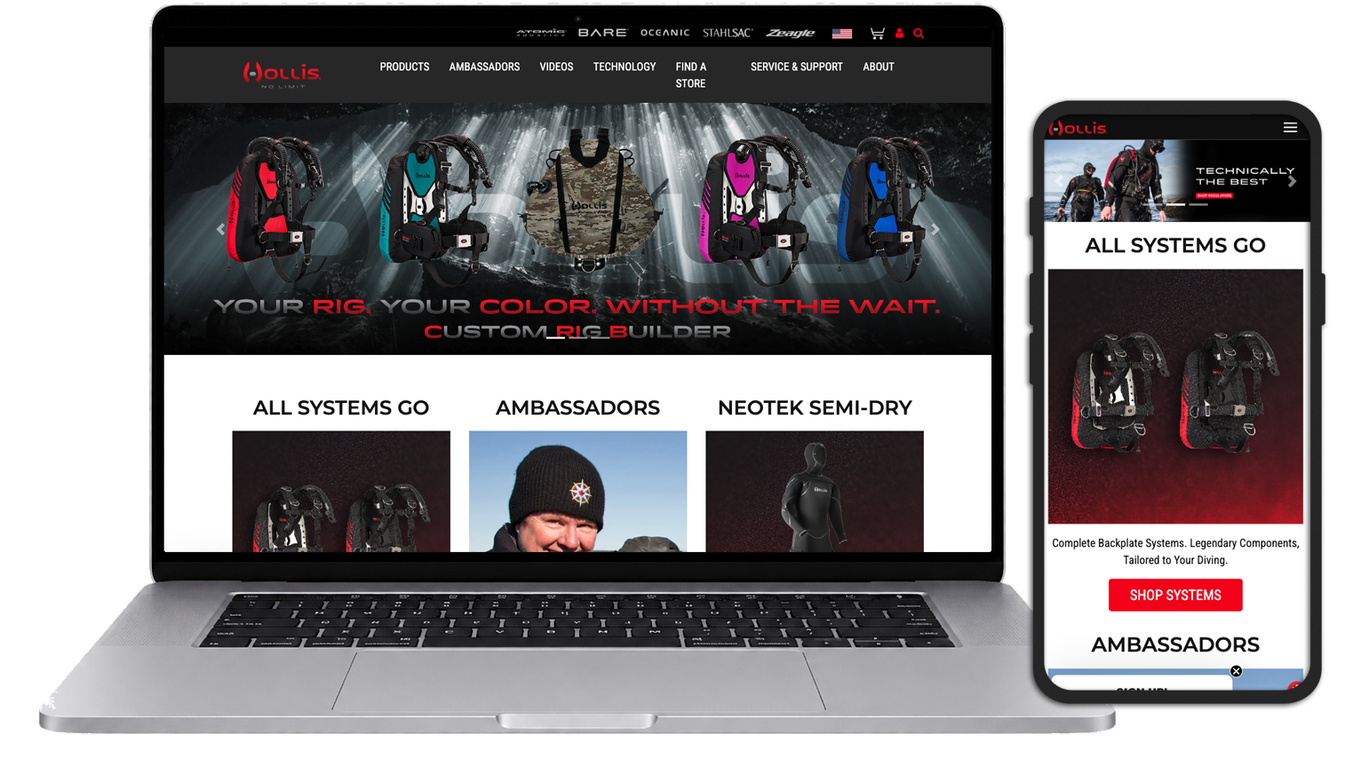 Hollis Desktop and Mobile display